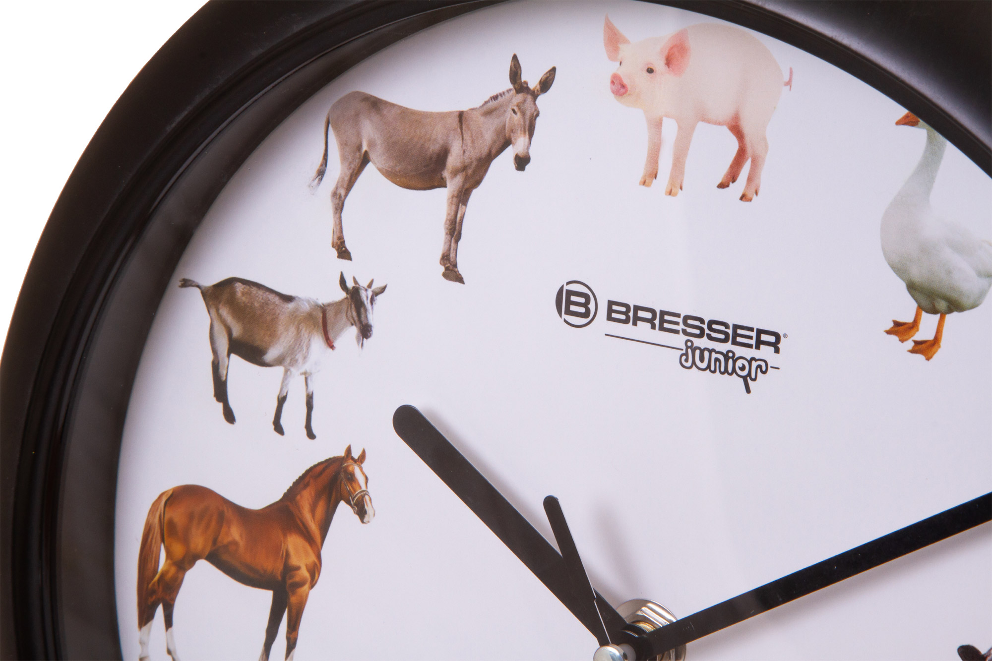 Часы про животных. Часы с животными. Часы с голосами животных. Животное и часы. Часы с птицами вместо цифр.